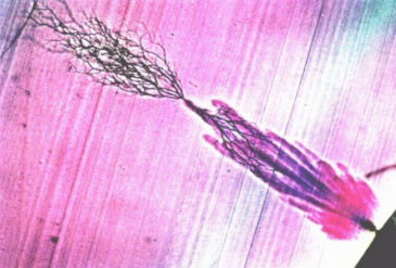 HVA45TD,<a href='http://m.swschina.com/Ppzq/b2.html'>B2HV</a>