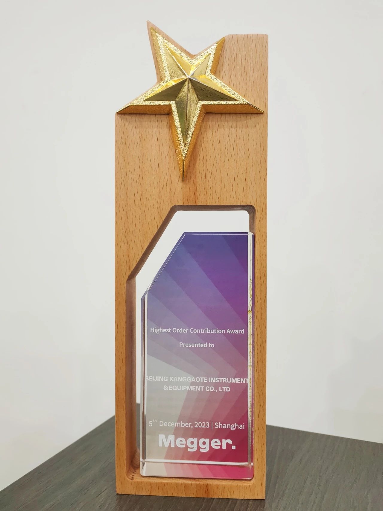 2023年MEGGER年度銷售* 2023年MEGGER年度銷售*