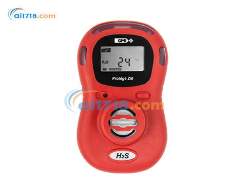 Protégé ZM 便攜式單一氣體監(jiān)測儀